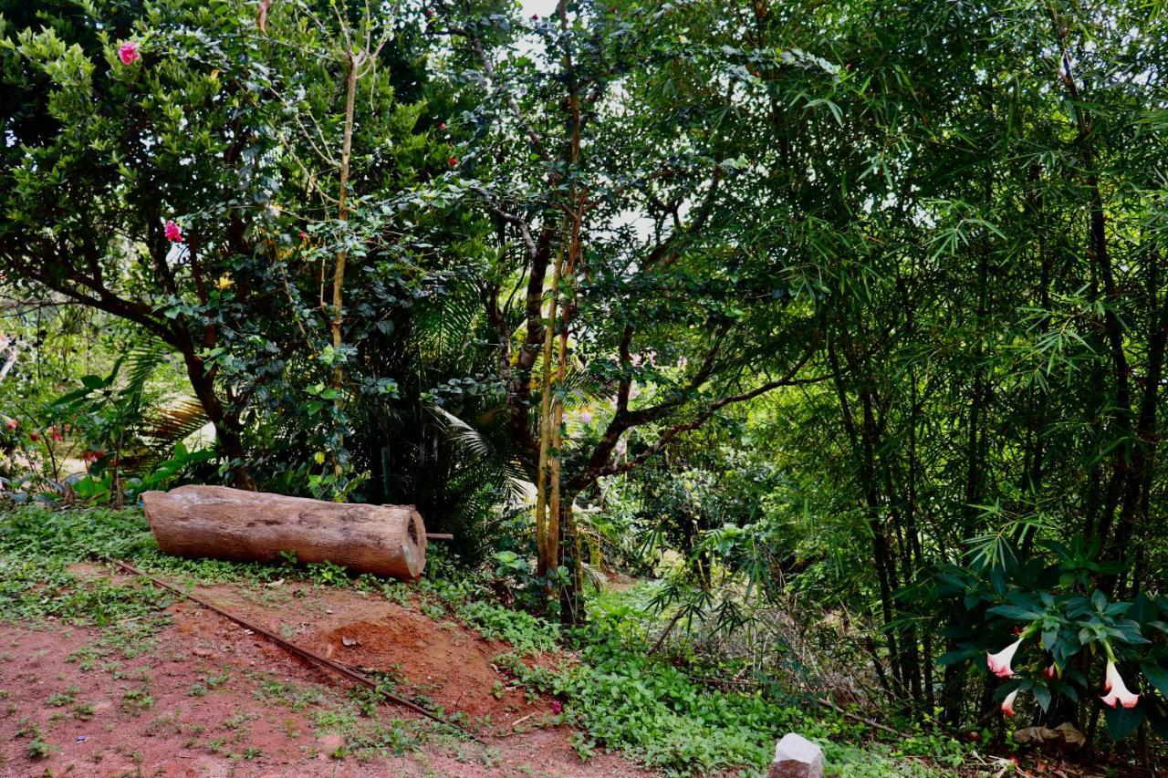 Coorg Nature Breeze Home Stay Madikeri Ngoại thất bức ảnh